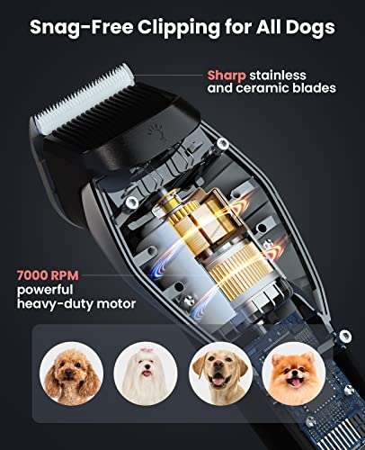 DOG CARE Smart Dog Clippers for Grooming with 3 Speeds, Auxiliary Light, Cordless Professional Dog Grooming Clippers, Low Noise Rechargeable Heavy-Duty Pet Hair Shaver for Dog Cat 2023 Upgraded