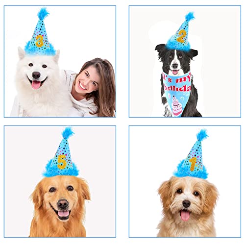 Dog Birthday Party Supplies - Dog Girl Birthday Bandanas Set with Dog Birthday Hat, Scarf, Birthday Banner, Balloons and Bowtie. Puppy Dog Pals Birthday Party Decorations.