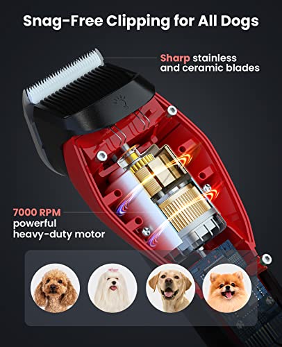 DOG CARE Smart Dog Clippers for Grooming with 3 Speeds, Auxiliary Light, Cordless Professional Dog Grooming Clippers, Low Noise Rechargeable Heavy-Duty Pet Hair Shaver for Dog Cat 2023 Upgraded