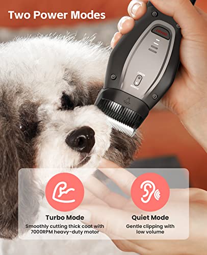 DOG CARE Smart Dog Clippers for Grooming with 3 Speeds, Auxiliary Light, Cordless Professional Dog Grooming Clippers, Low Noise Rechargeable Heavy-Duty Pet Hair Shaver for Dog Cat 2023 Upgraded